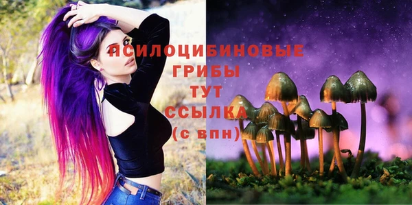 синтетический гашиш Вязьма